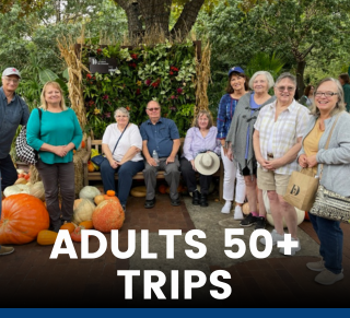 Adults 50 Trips (1)